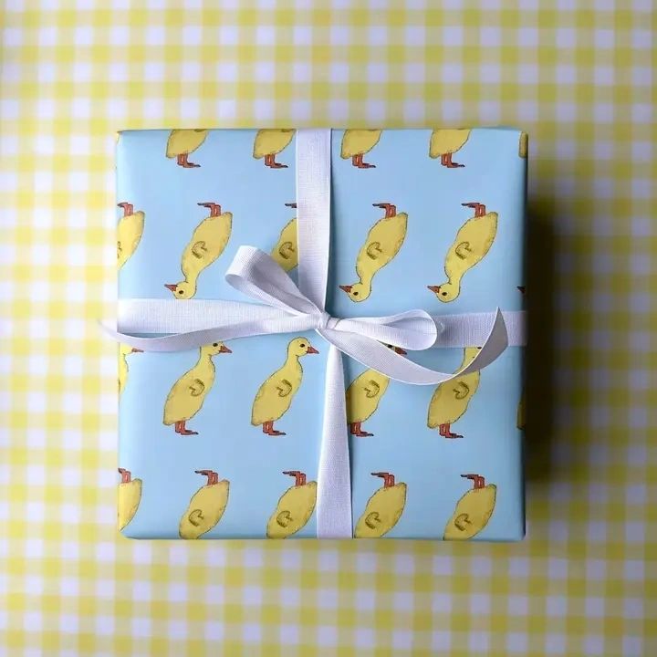 Duckling Double - Sided Wrapping Paper Roll - Potpourri Gift Shop