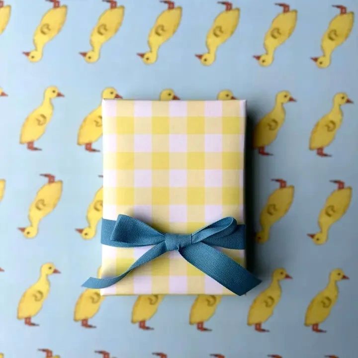 Duckling Double - Sided Wrapping Paper Roll - Potpourri Gift Shop