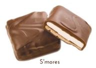 S'mores Milk Chocolate Square 1PK