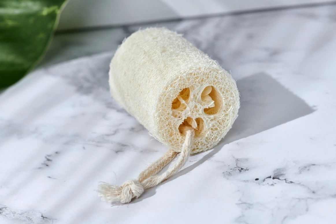 Natural Loofah Slices