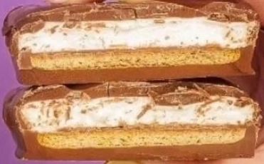 S'mores Milk Chocolate Square 1PK