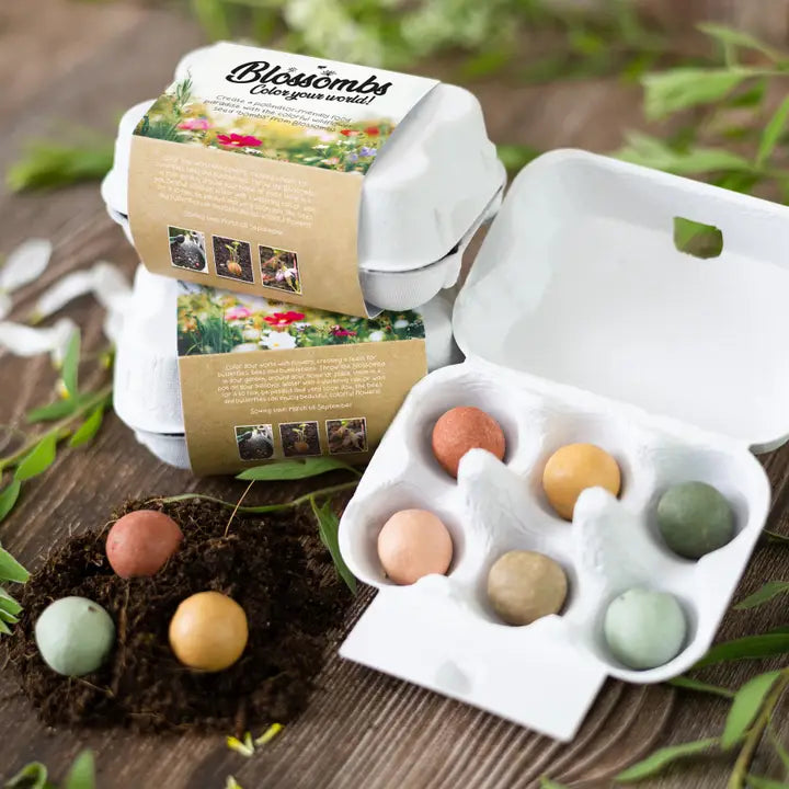 Flowers For You! Egg Carton Wildflower Seed Balls