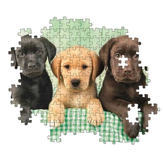 Three Labs 1000 Pc Puzzle