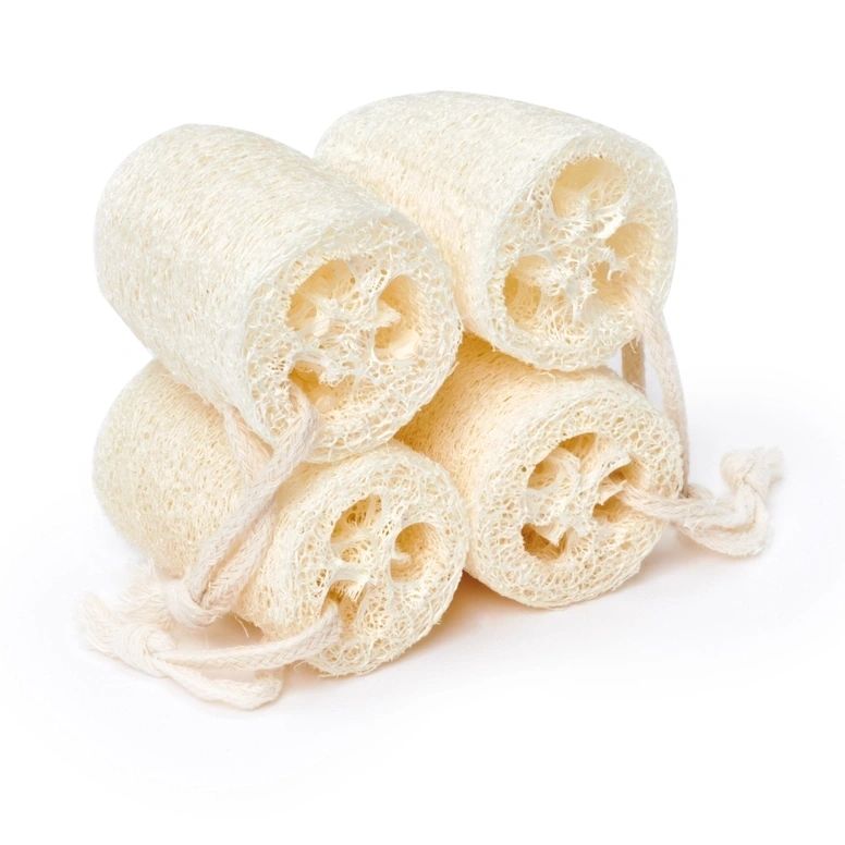 Natural Loofah Slices