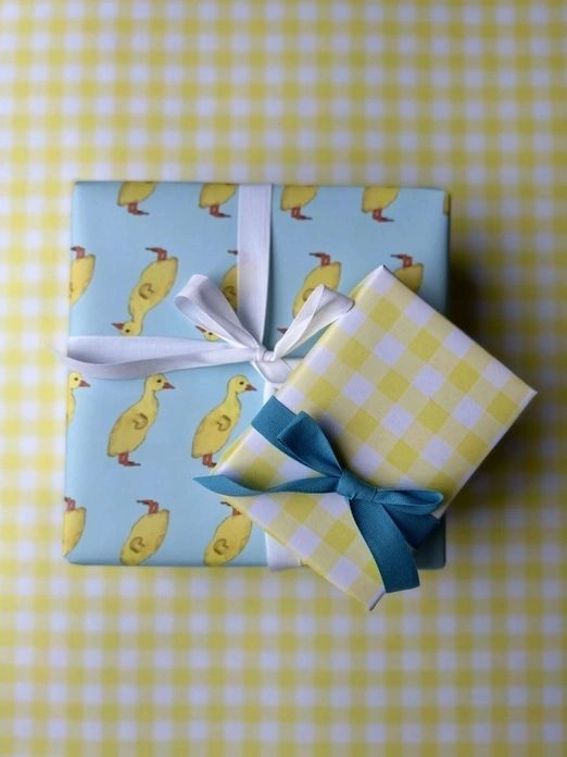 Duckling Double - Sided Wrapping Paper Roll - Potpourri Gift Shop
