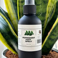 Peppermint Foot Spray, 4 oz.